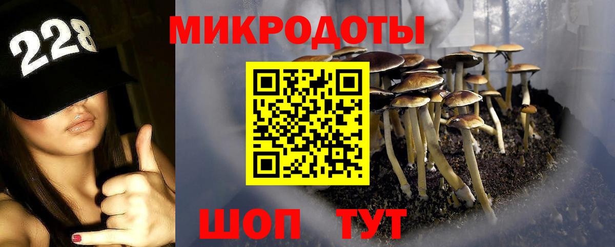 Нурлат  Псилоцибиновые грибы Psilocybine cubensis  Вход с VPN 